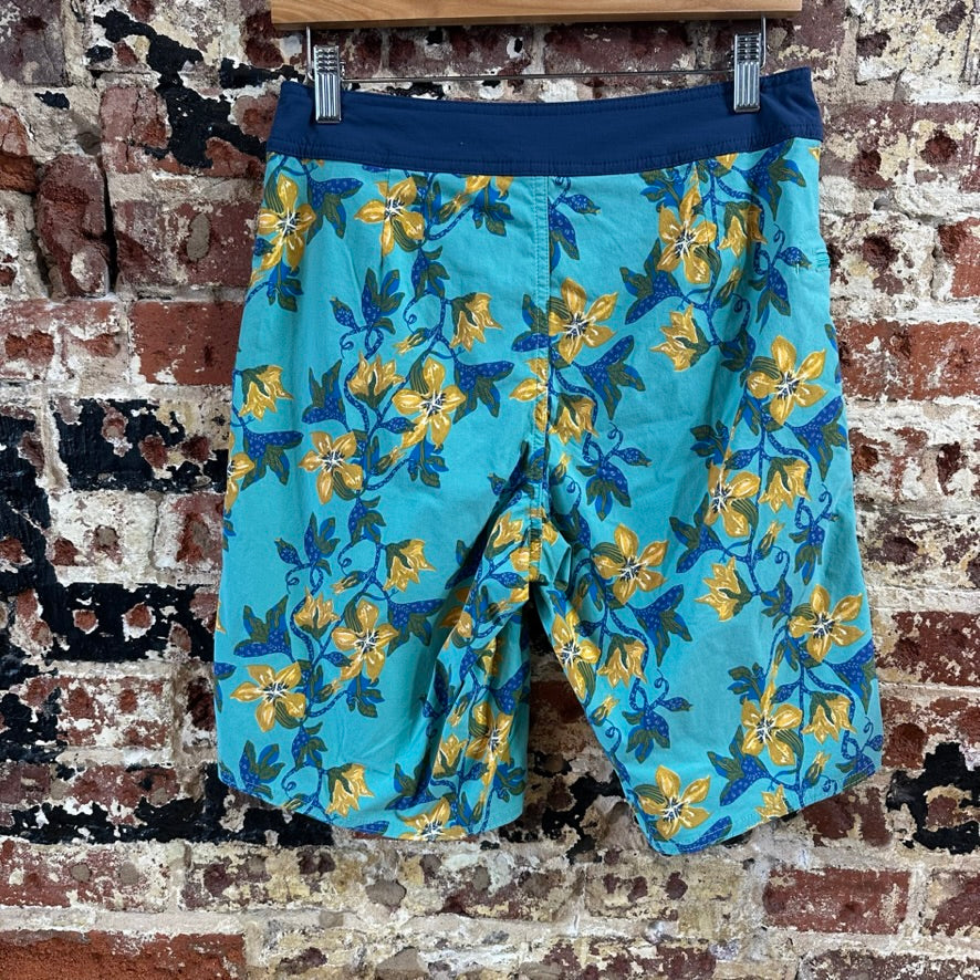 Patagonia Shorts Mens 30