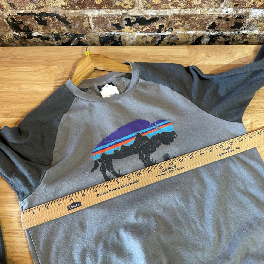 Patagonia Mens Medium Gray Mountain logo 2 toned Lightweight sweatshirt