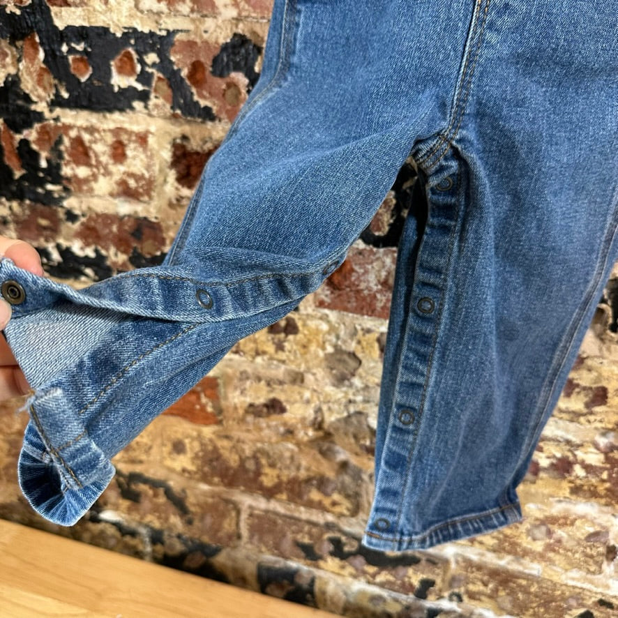 Carhartt Jean Bibs 18M