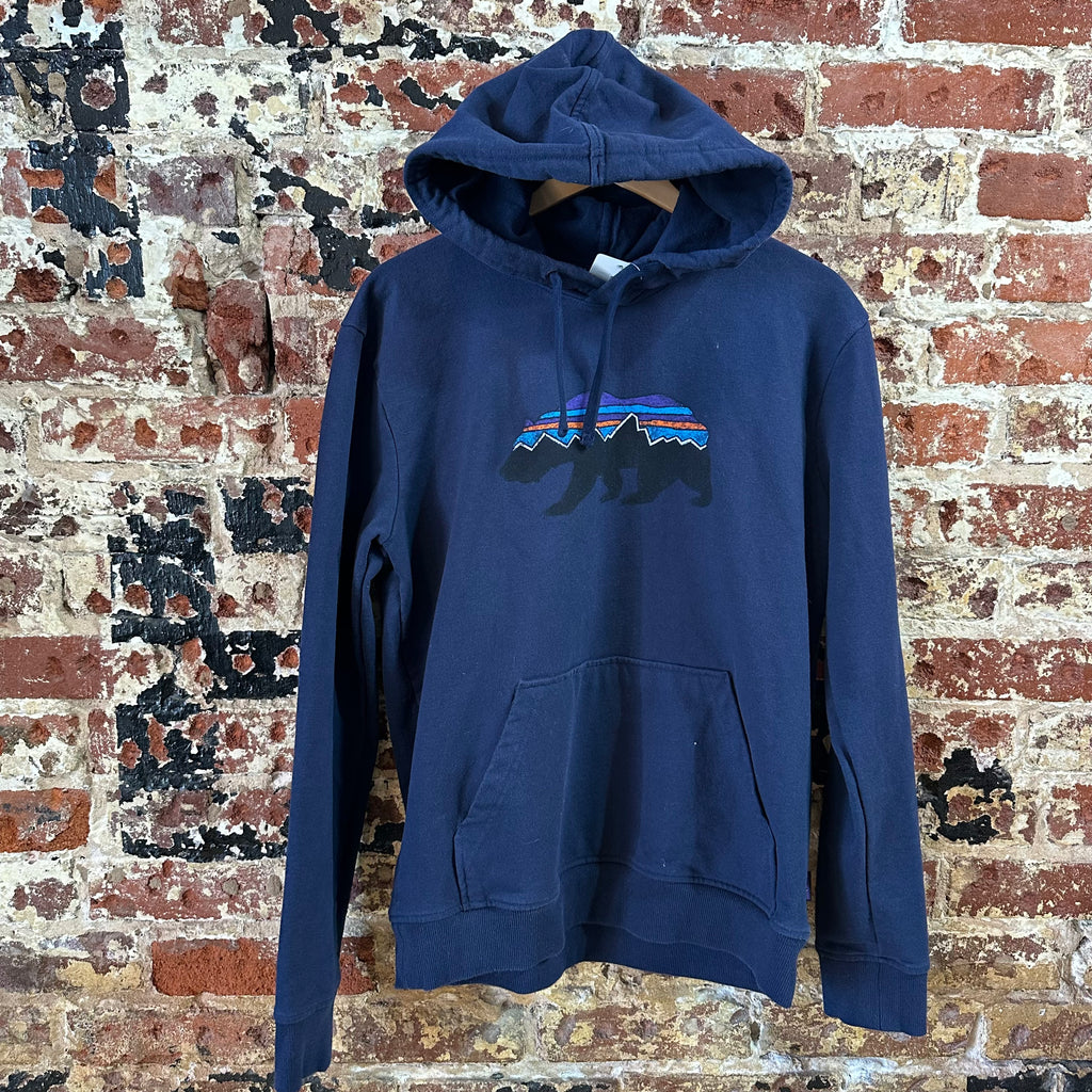 Patagonia Mens Medium Blue Hoodie