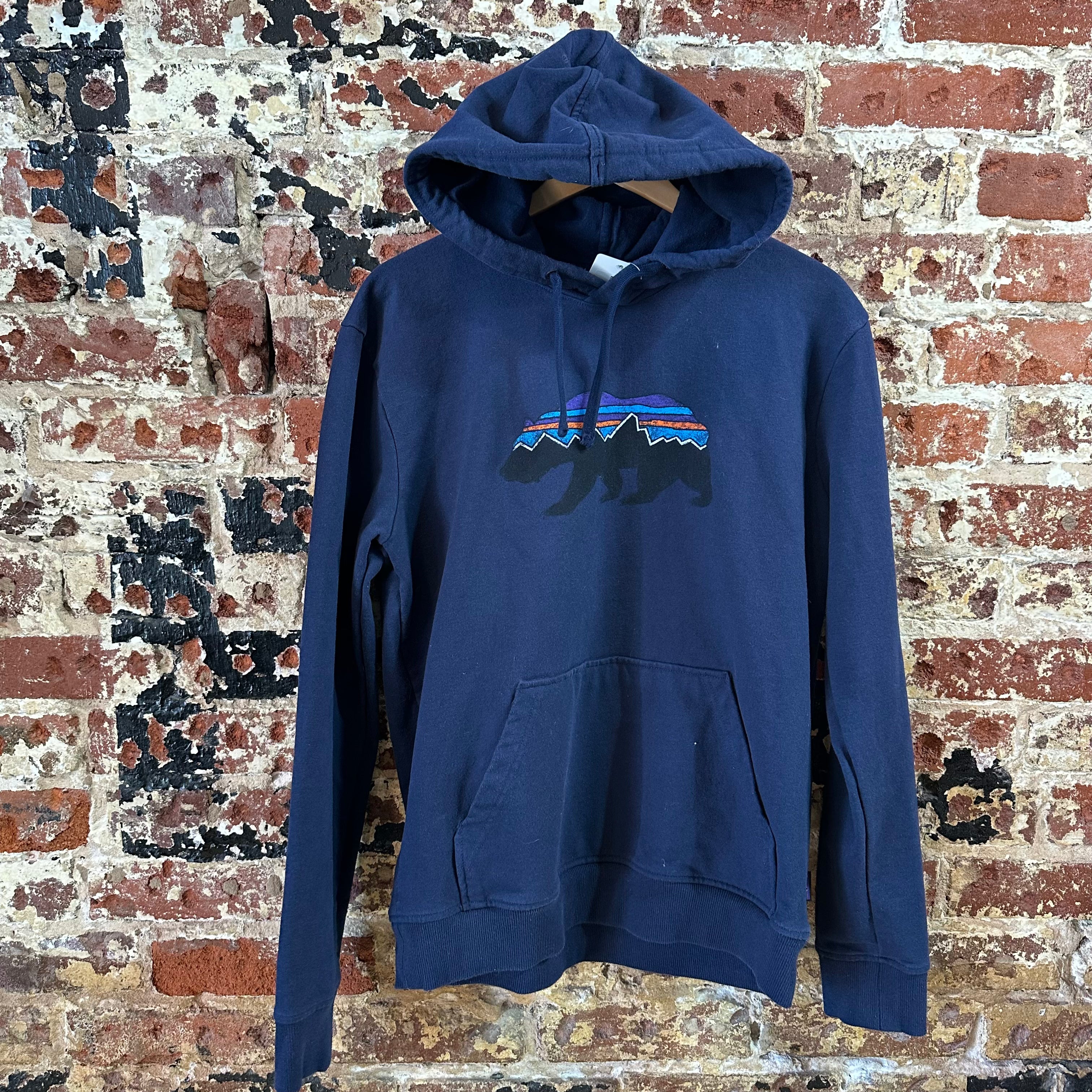 Patagonia Mens Medium Blue Hoodie