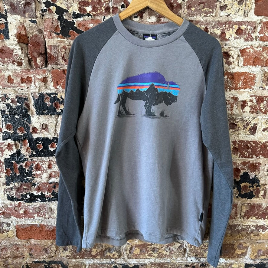 Patagonia Mens Medium Gray Mountain logo 2 toned Lightweight sweatshirt