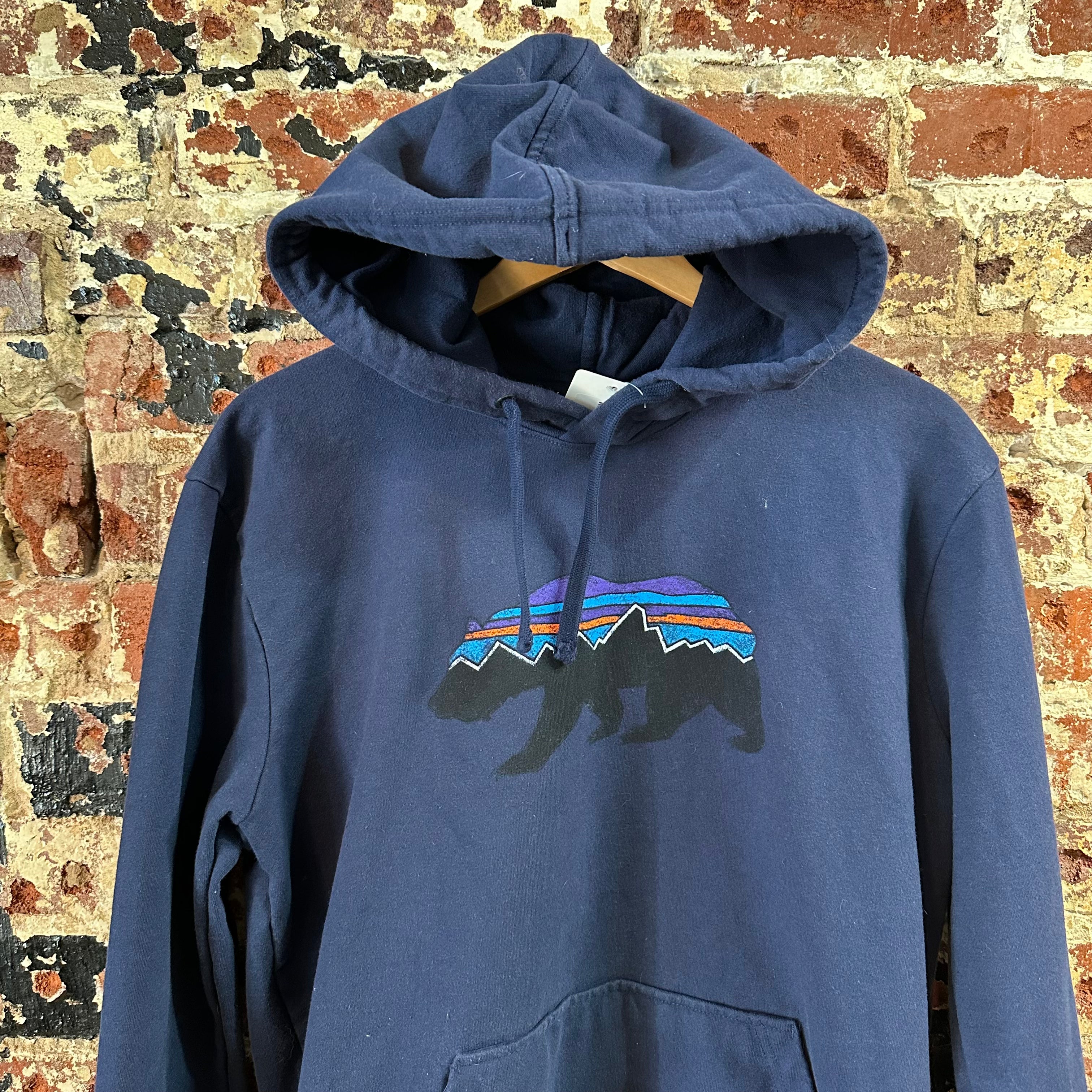 Patagonia Mens Medium Blue Hoodie