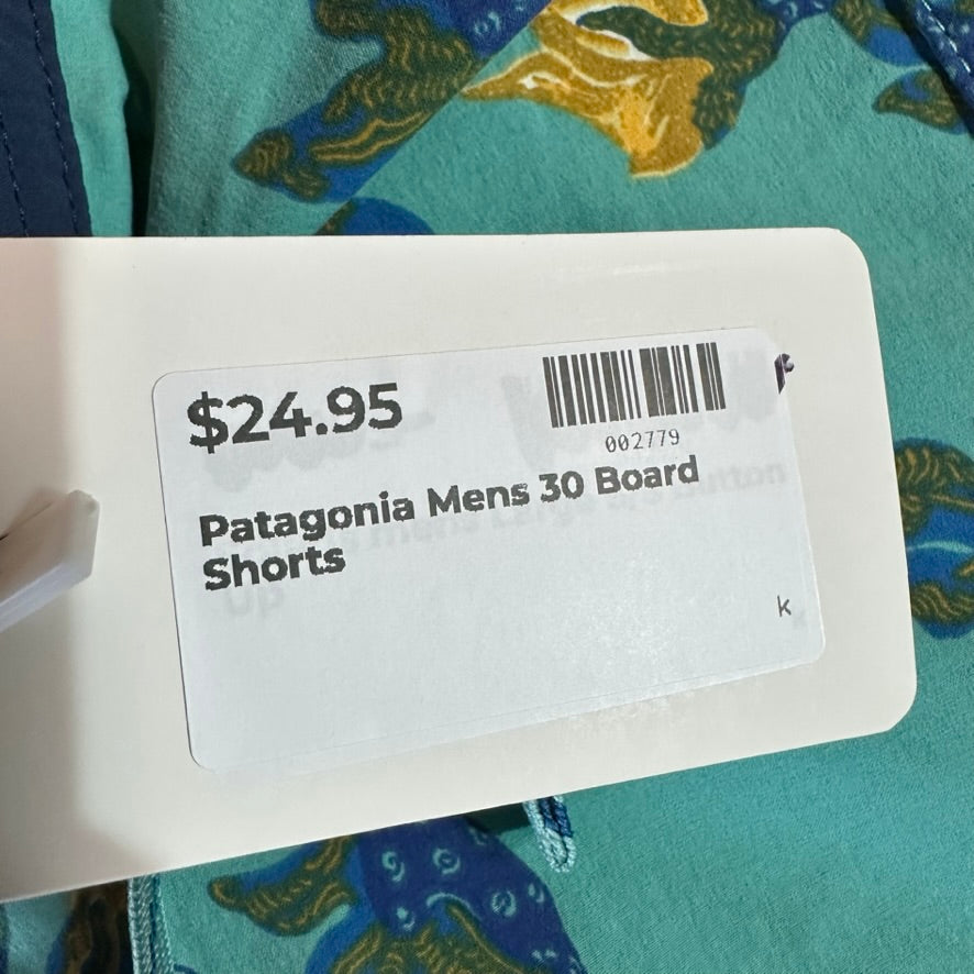 Patagonia Shorts Mens 30