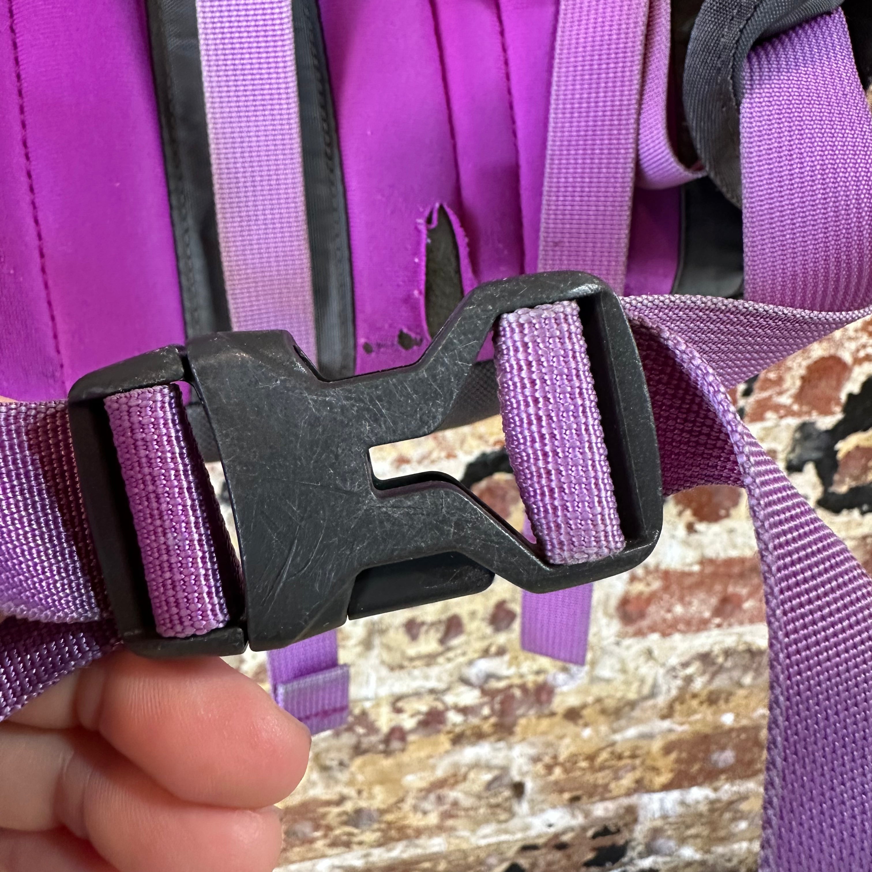 North Face Recon Purple Backpack