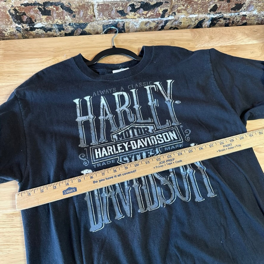 Harley Davidson T Shirt Mens Large Tall Short Sleeve
