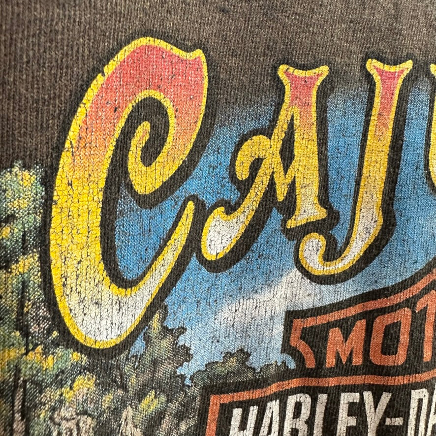 Harley Men's Large S/S T-Shirt