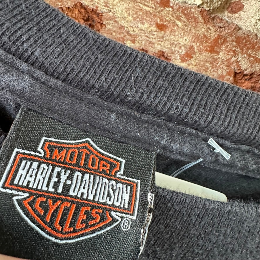 Harley Men's Large L/S T-Shirt