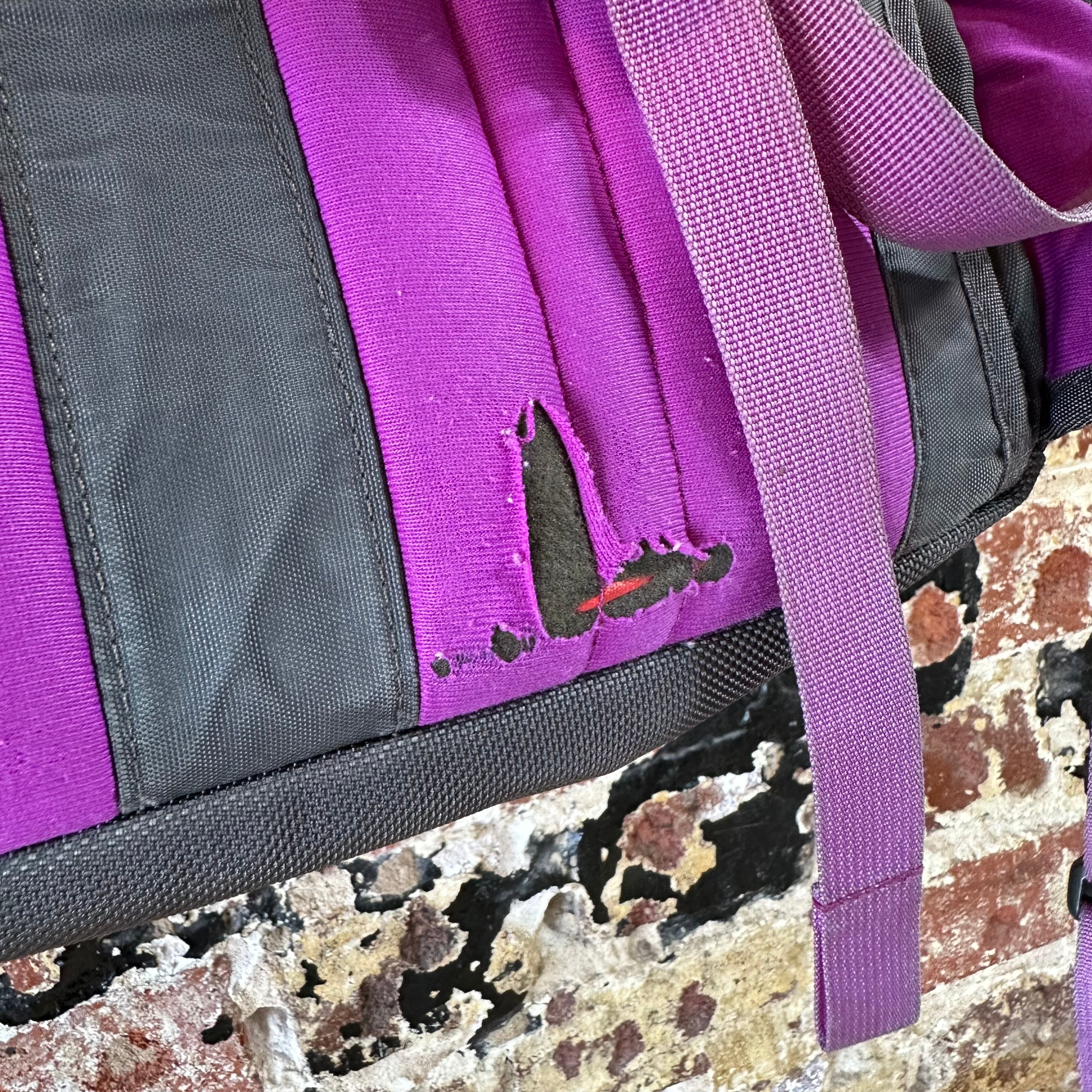 North Face Recon Purple Backpack