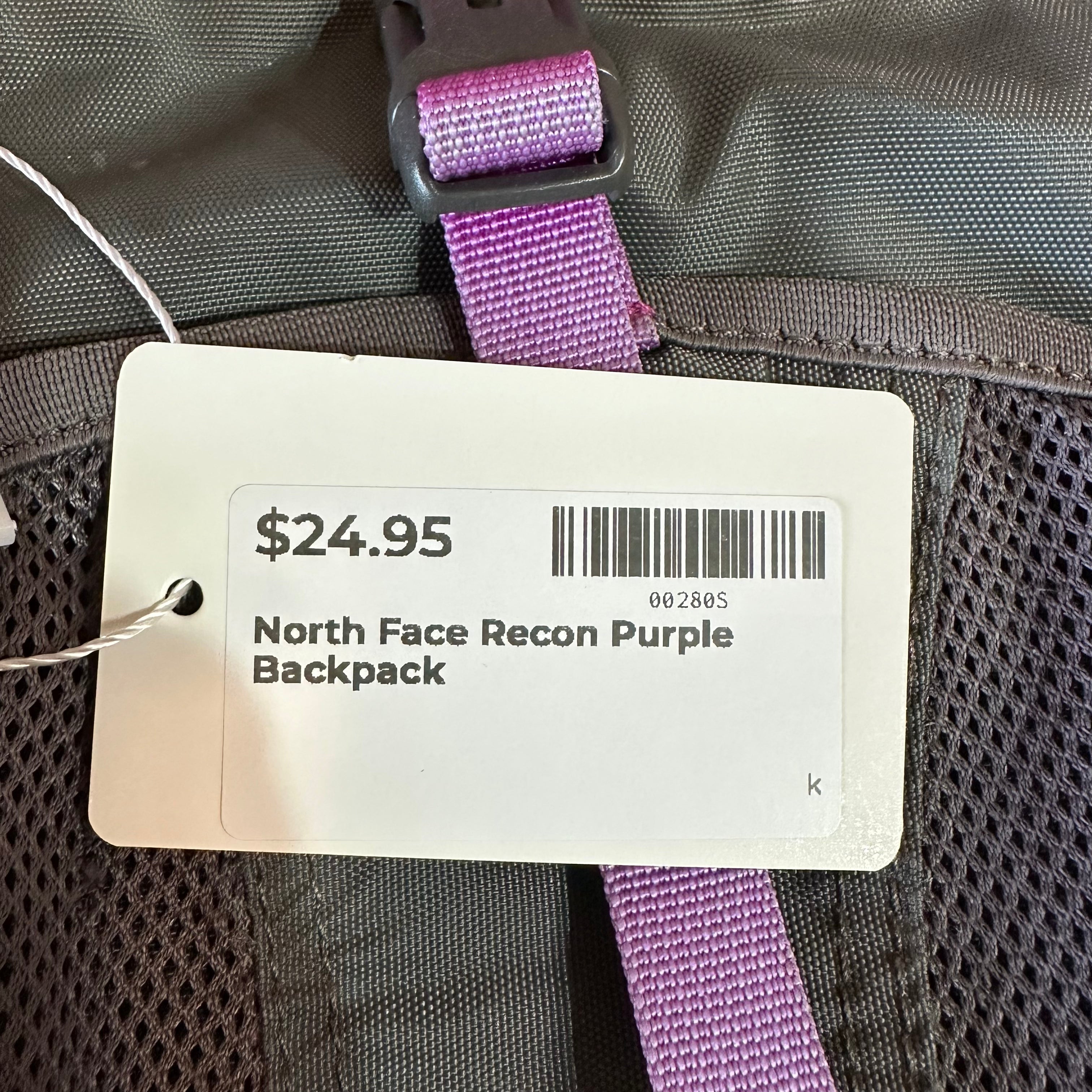North Face Recon Purple Backpack
