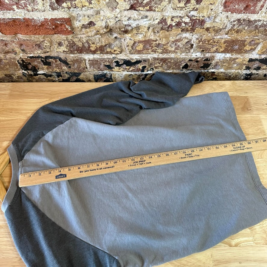 Patagonia Mens Medium Gray Mountain logo 2 toned Lightweight sweatshirt