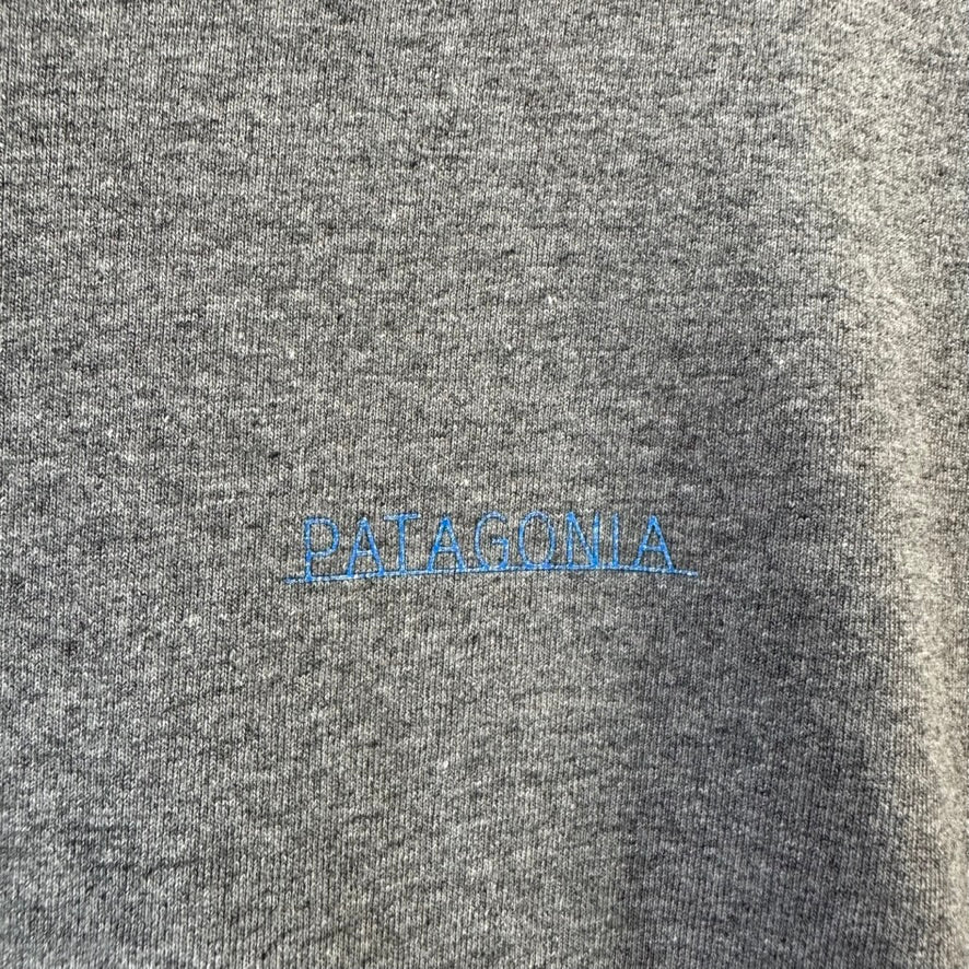 Patagonia Men's Large S/S T-Shirt