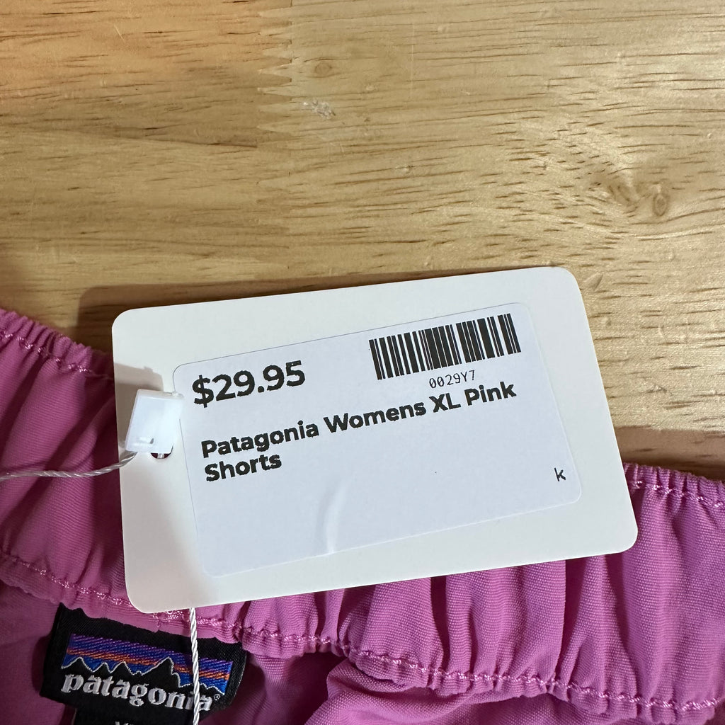 Patagonia Shorts Womens XL