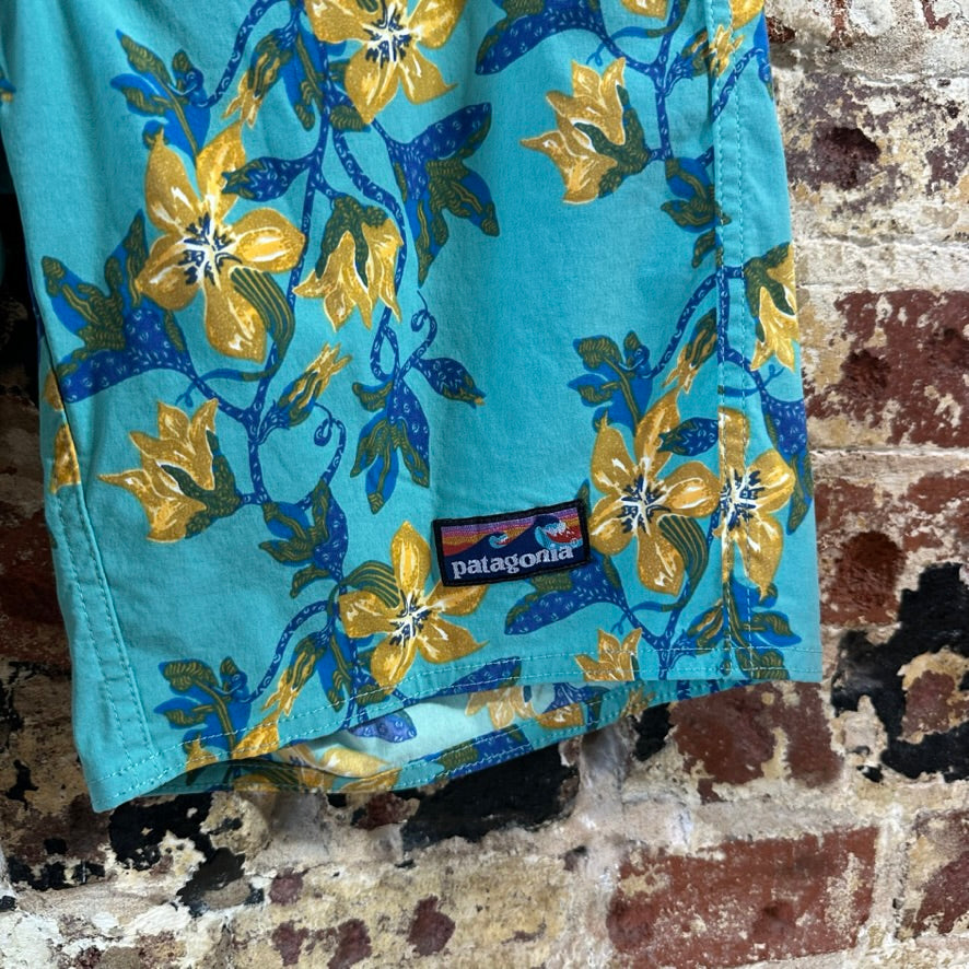 Patagonia Shorts Mens 30