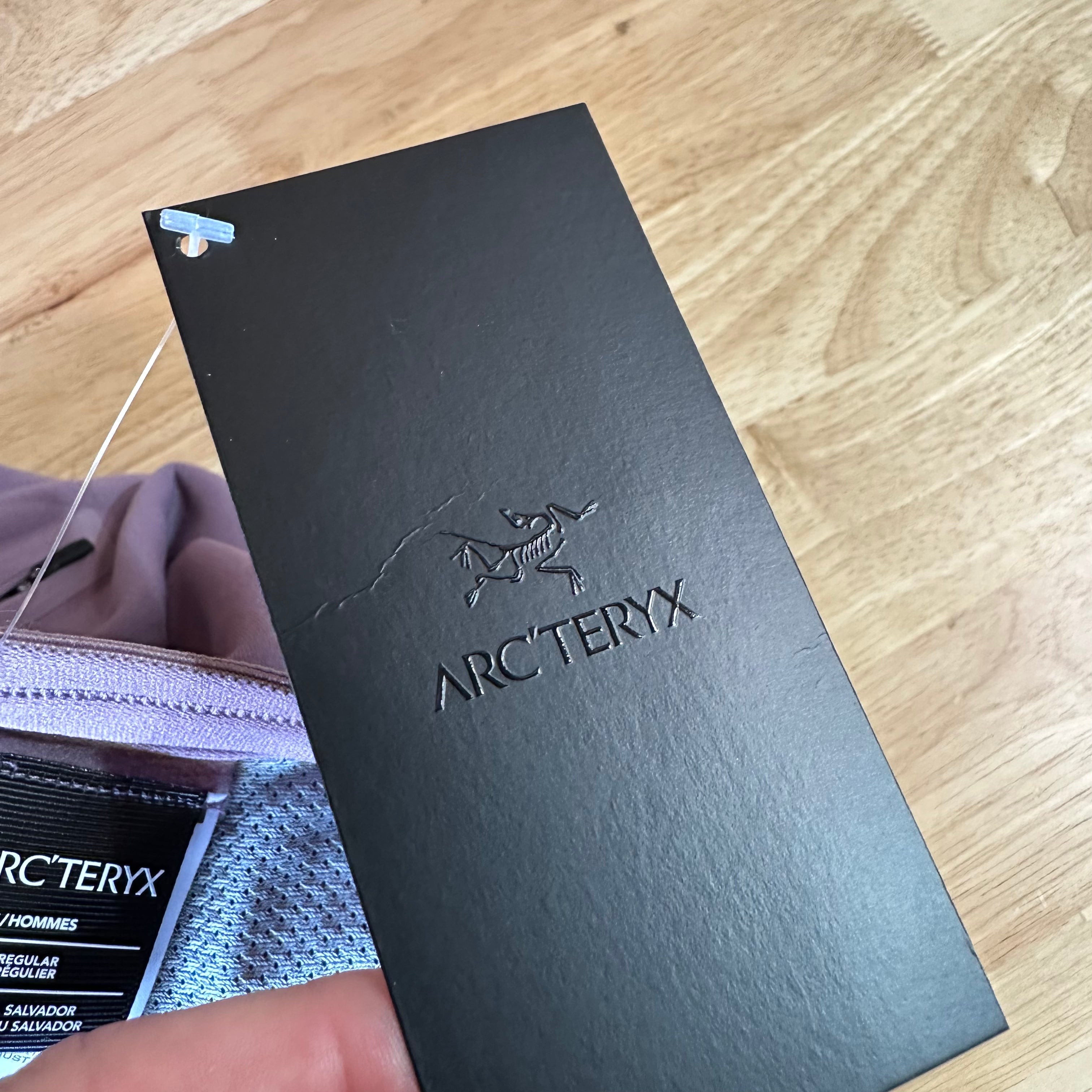 Arcteryx Kyanite Sweatpants Interstellar Mens Large NEW