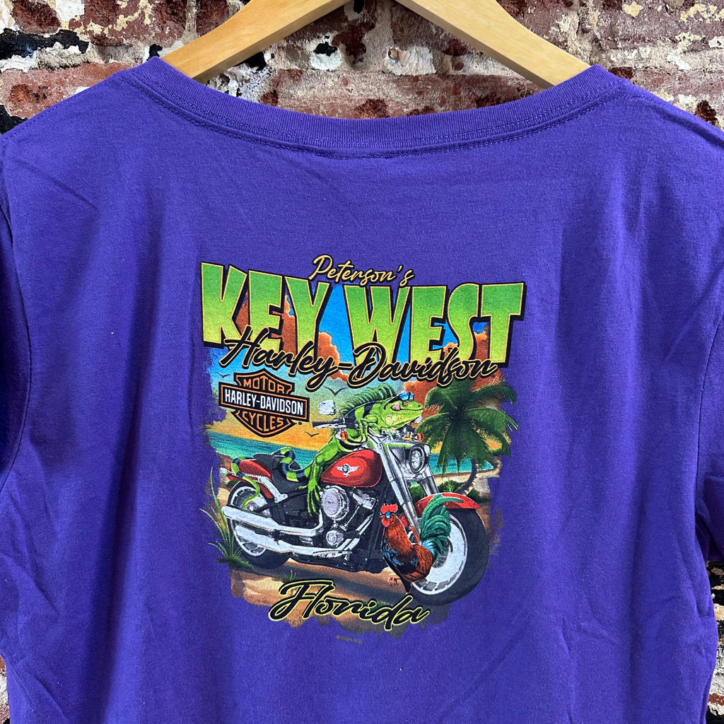 Harley Davidson Women's XL Short Sleeve Purple T-Shirt V-Neck NEW