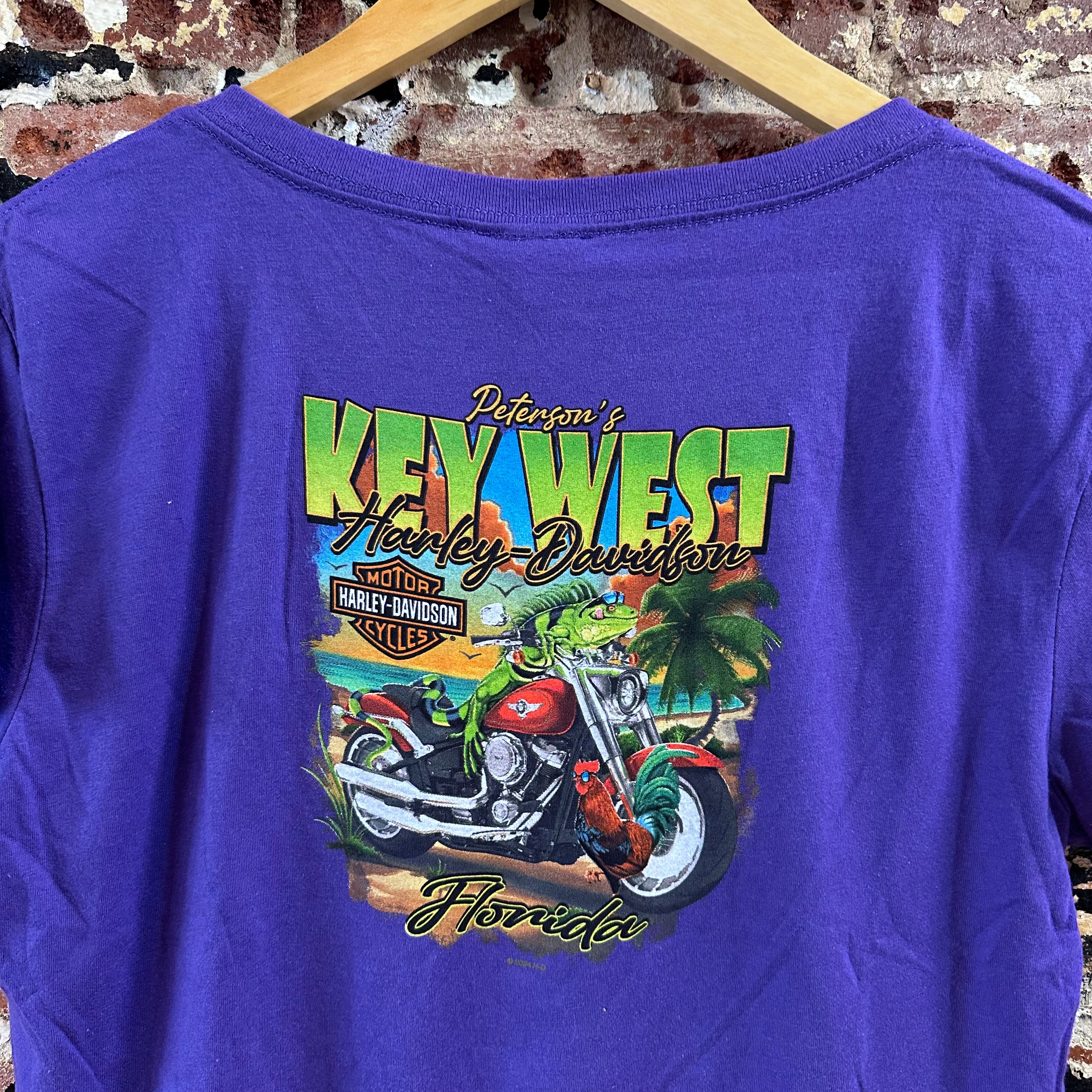 Harley Davidson Women's XL Short Sleeve Purple T-Shirt V-Neck NEW