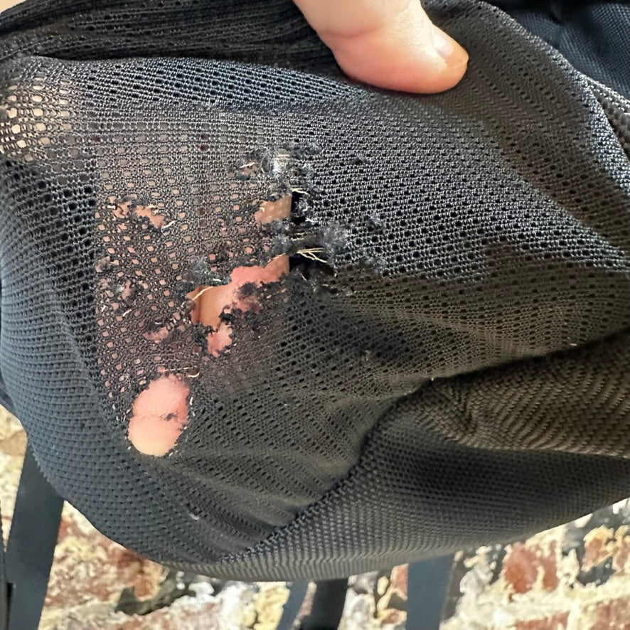 North Face Borealis Black Backpack