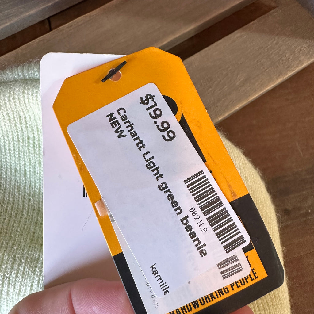 Carhartt Beanie Hat Acrylic Winter Pull On Knit Cap A18 Mint green NWT