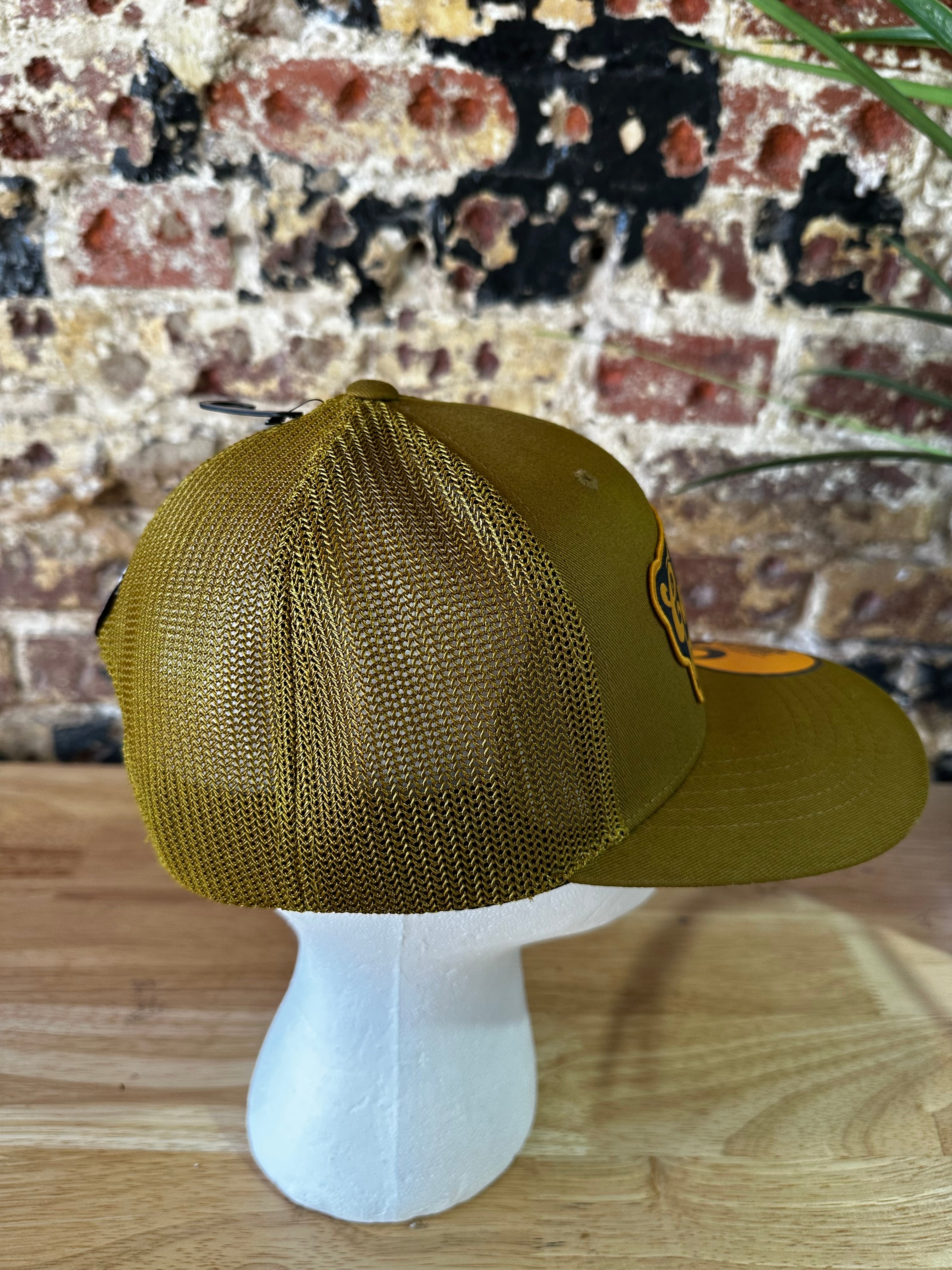 Carhartt Brown Script patch Snap Mesh Back Hat New