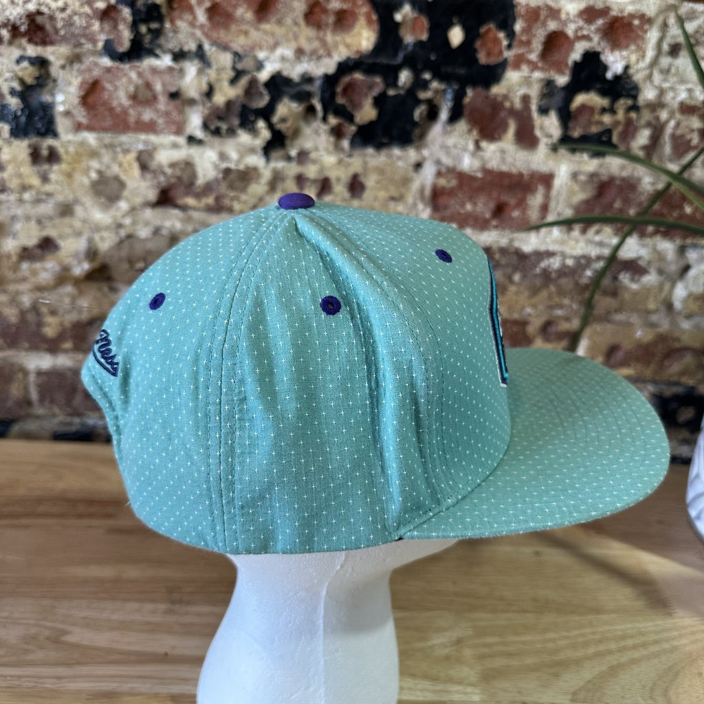 Mitchell & Ness NBA Buzz City Charlotte Hornets teal Camo Snapback Hat