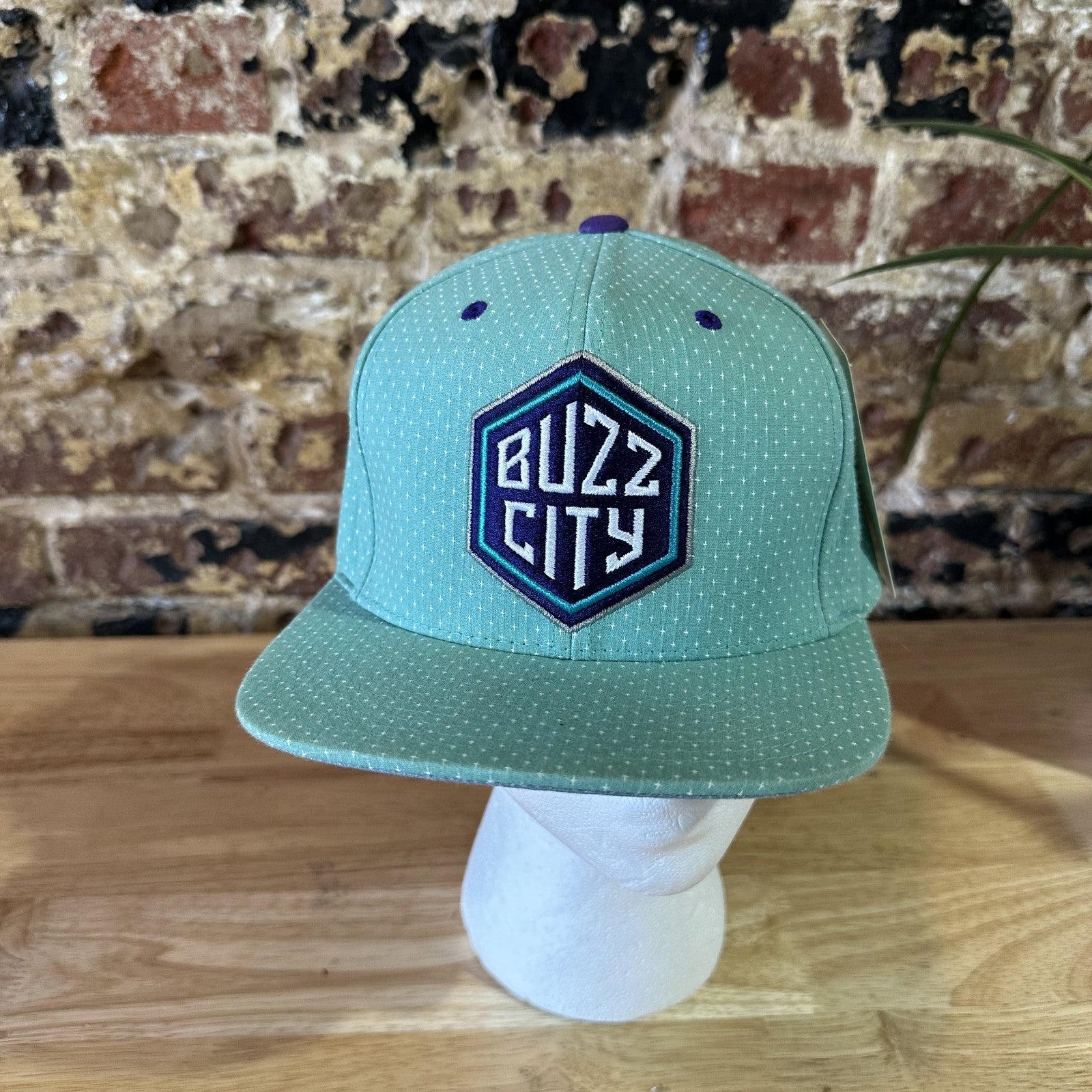 Mitchell & Ness NBA Buzz City Charlotte Hornets teal Camo Snapback Hat