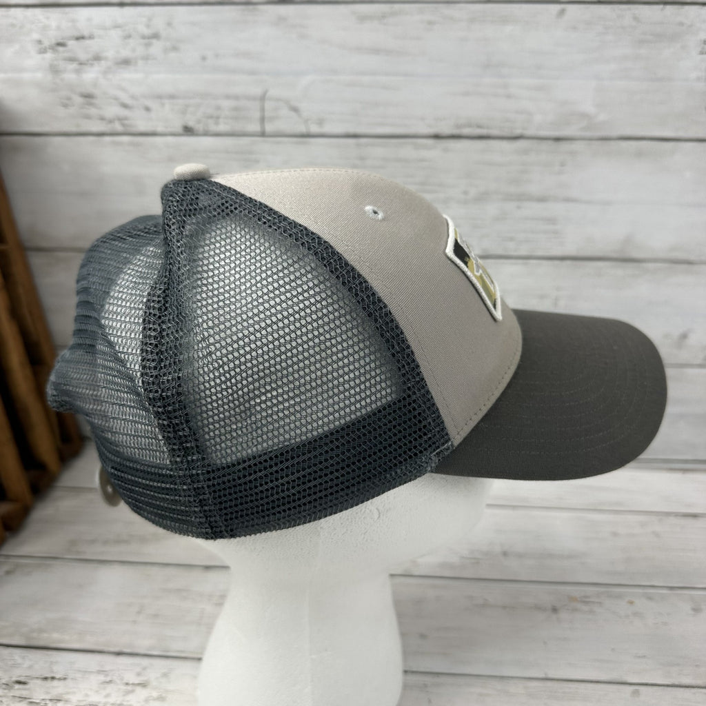 Patagonia Hat Snapback Trucker Cap Mens Fletcher Chouinard FC Outdoor Gray