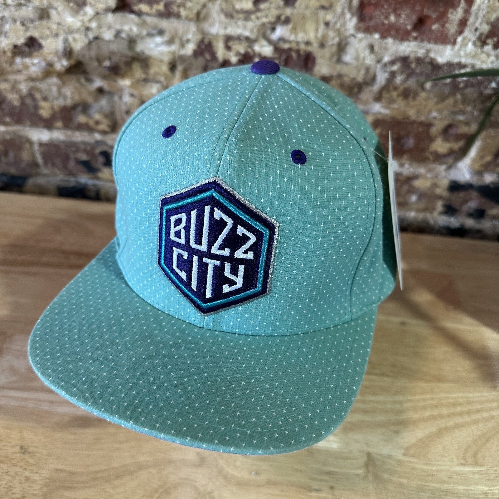 Mitchell & Ness NBA Buzz City Charlotte Hornets teal Camo Snapback Hat