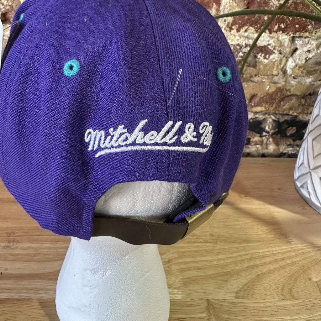 Mitchell & Ness Purple NBA Charlotte Hornets Aztec bill 2 Tone HWC Snapback Hat