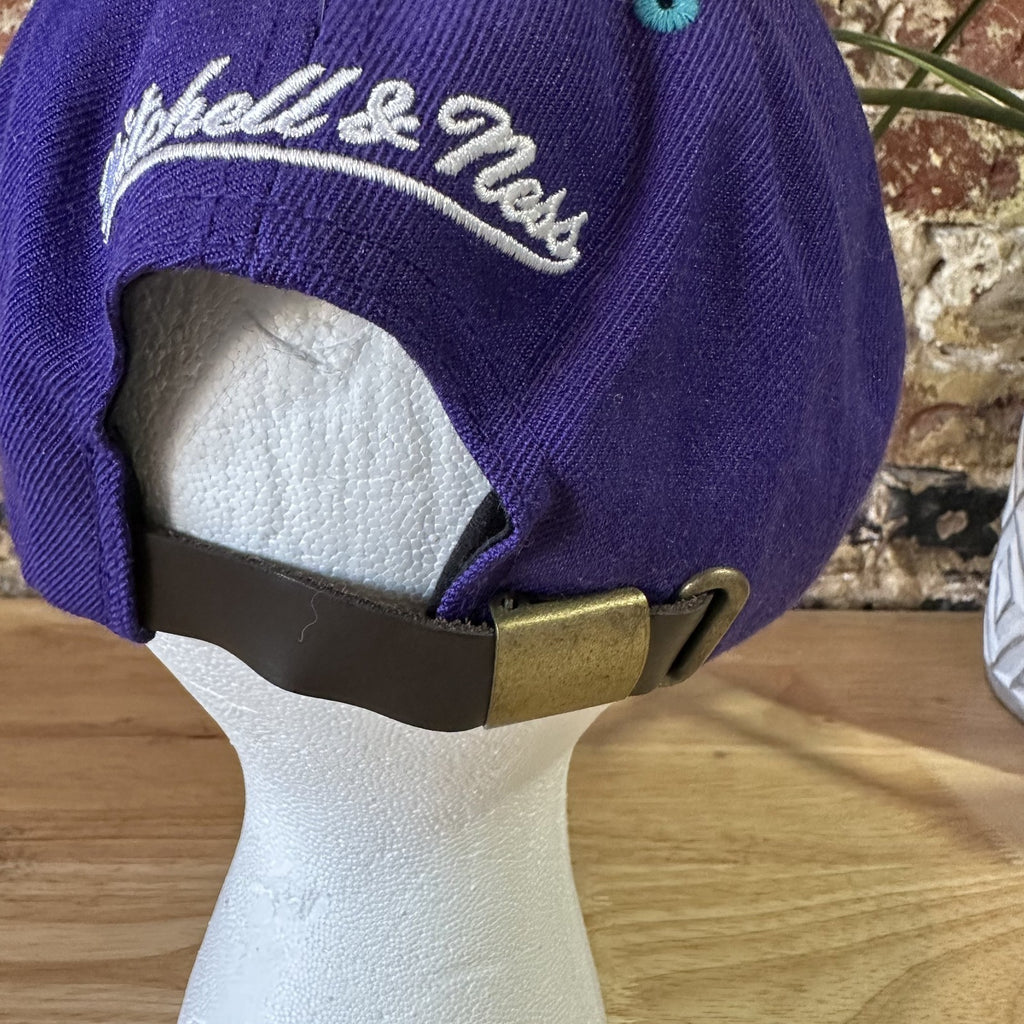 Mitchell & Ness Purple NBA Charlotte Hornets Aztec bill 2 Tone HWC Snapback Hat
