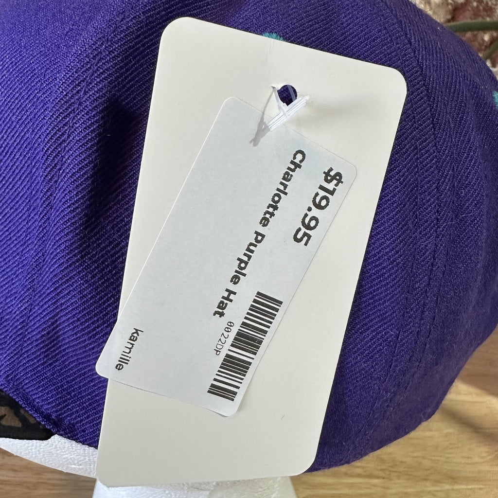 Mitchell & Ness Purple NBA Charlotte Hornets Aztec bill 2 Tone HWC Snapback Hat